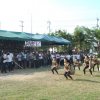 activity 23